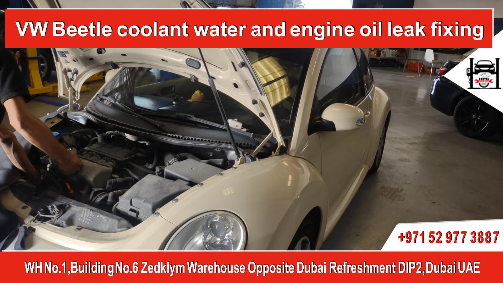 VW-Beetle-VW-Engine-Oil-Leak-Fixing